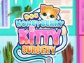 Joc Doc HoneyBerry Kitty Surgery