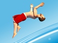 Joc Flip Divers