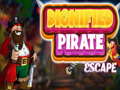 Joc Dignified Pirate Escape