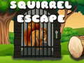 Joc Squirrel Escape
