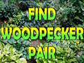 Joc Find Woodpecker Pair 