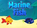 Joc Marine Fish