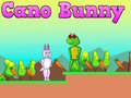 Joc Cano Bunny