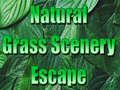 Joc Natural Grass Scenery Escape