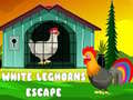 Joc White Leghorns Escape