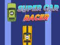 Joc Super Car Racer