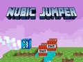 Joc Nubic Jumper