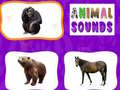 Joc Animal Sounds