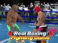 Joc Real Boxing Fighting Game