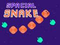 Joc Spacial Snake