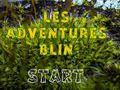 Joc Les Adventures Blin
