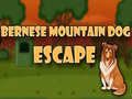 Joc Bernese Mountain Dog Escape