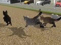 Joc Run Cat Cat Race