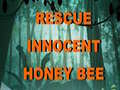 Joc Rescue Innocent Honey Bee 