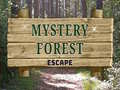 Joc Mystery Forest