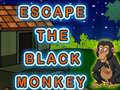 Joc Escape The Black Monkey