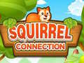 Joc Squirrel Connection