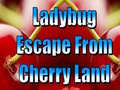 Joc Ladybug Escape From Cherry Land