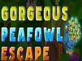 Joc Gorgeous Peafowl Escape