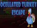 Joc Ocellated Turkey Escape