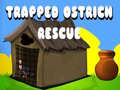 Joc Trapped Ostrich Rescue