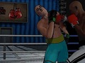 Joc Ultimate Boxing Showdown