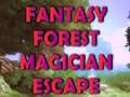 Joc Fantasy Forest Magician Escape