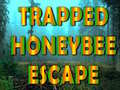 Joc Trapped Honeybee Escape