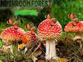 Joc Mushroom Forest Adventure