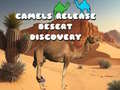 Joc Camels Release Desert Discovery