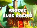 Joc Rescue Blue Dacnis