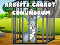 Joc Rabbits Carrot Conundrum