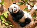 Joc Jigsaw Puzzle: Panda On Tree