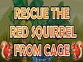 Joc Rescue The Red Squirrel From Cage