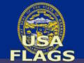 Joc Usa Flags 