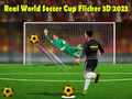 Joc Real World Soccer Cup Flicker 3D 2023