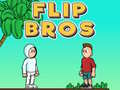 Joc Flip Bros