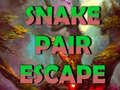 Joc Snake Pair Escape