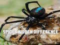 Joc Spider Hidden Difference