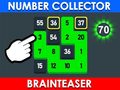 Joc Number Collector: Brainteaser