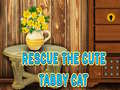 Joc Rescue The Cute Tabby Cat