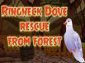 Joc Ringneck Dove Rescue From Forest