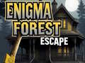 Joc Enigma Forest Escape