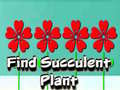 Joc Find Succulent Plant