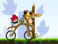 Joc Angry Birds Bike Revenge