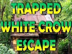 Joc Trapped White Crow Escape