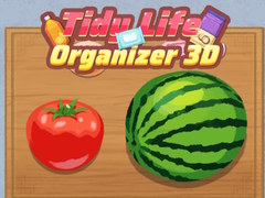Joc Tidy Life Organizer 3D