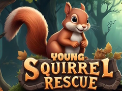 Joc Young Squirrel Rescue