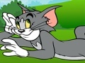 Joc Tom and Jerry ATV Adventure