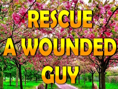 Joc Rescue A Wounded Guy